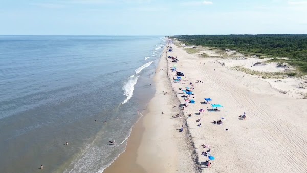 Cape Henlopen State Park grounds