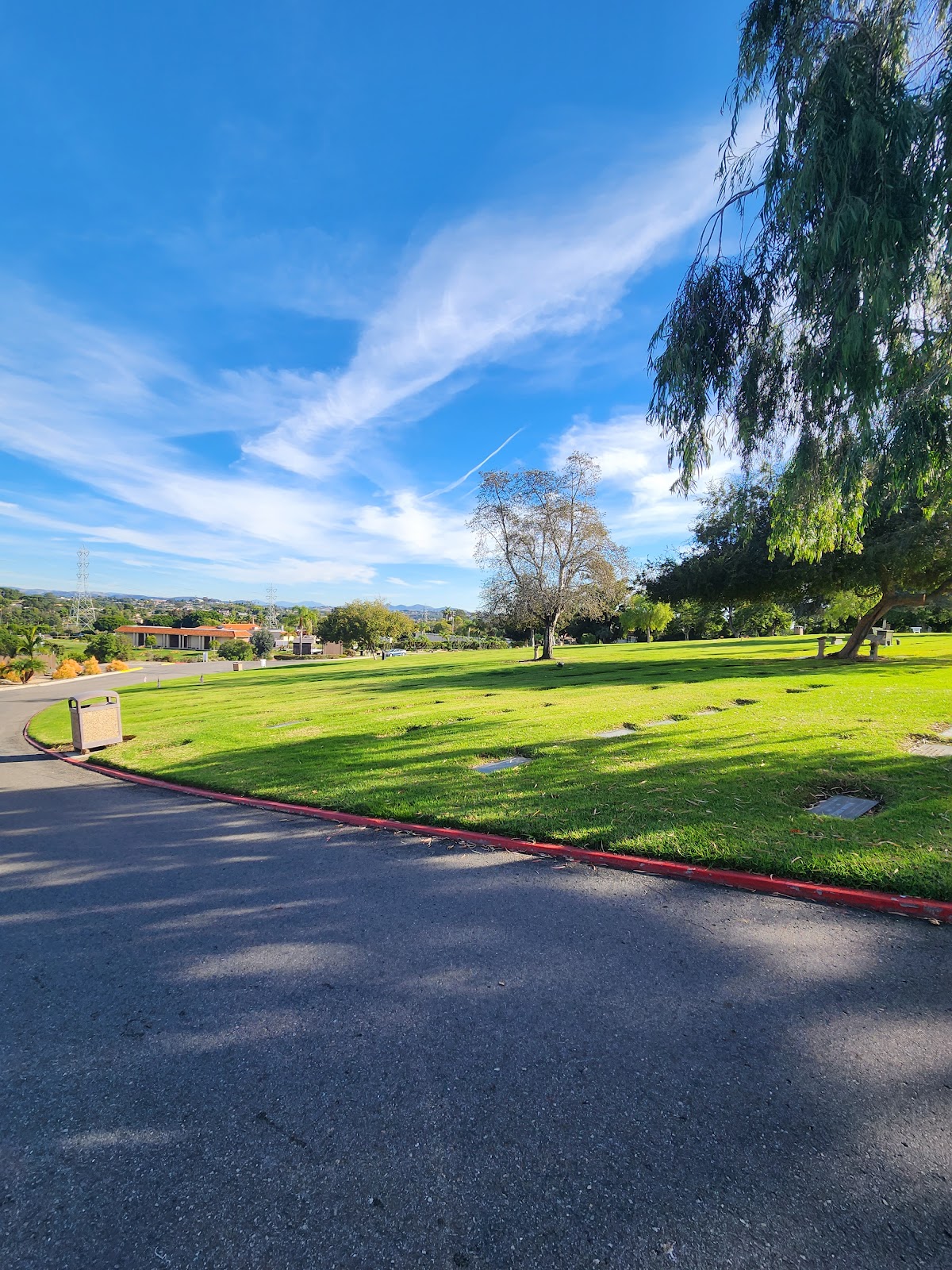 Carlsbad Cemetery cemetery grounds and headstones