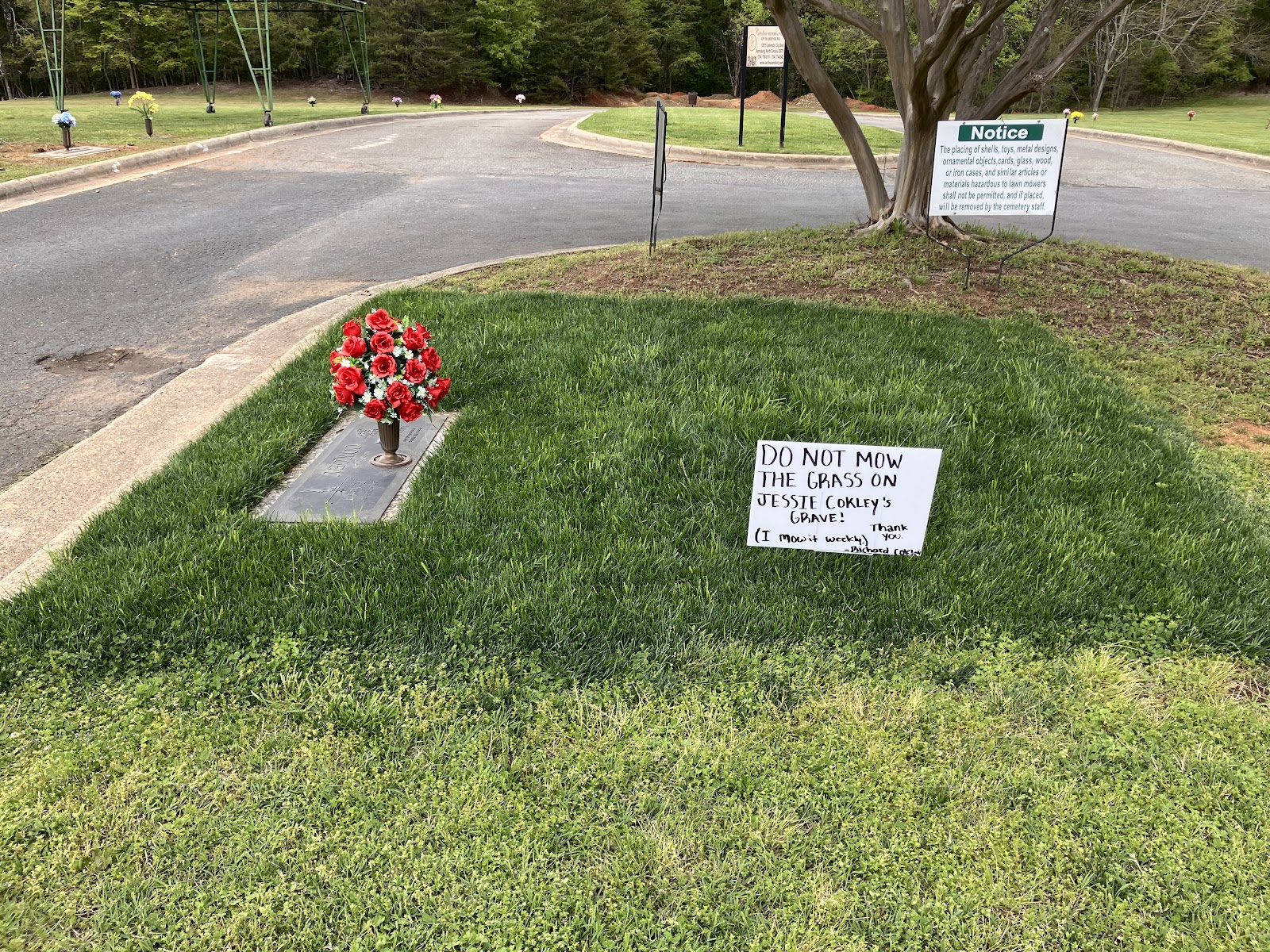 Carolina Memorial Park cemetery grounds and headstones