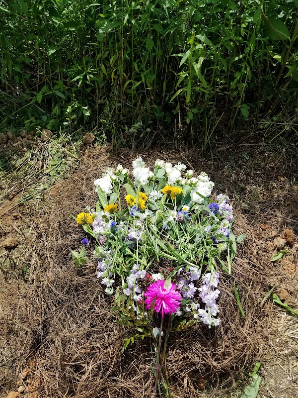 Carolina Memorial Sanctuary grounds