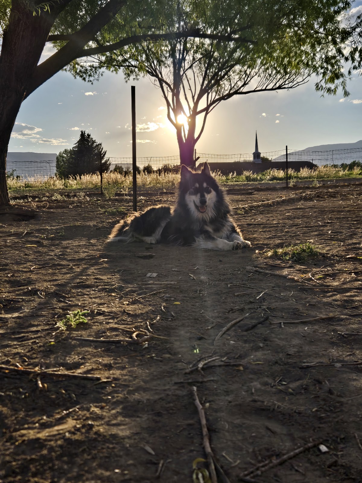 Castle Dale City Cemetery headstone and grounds