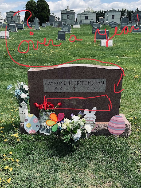 Cathedral Cemetery grounds