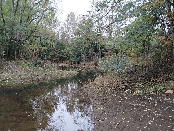 Cecil Moses Memorial Park grounds