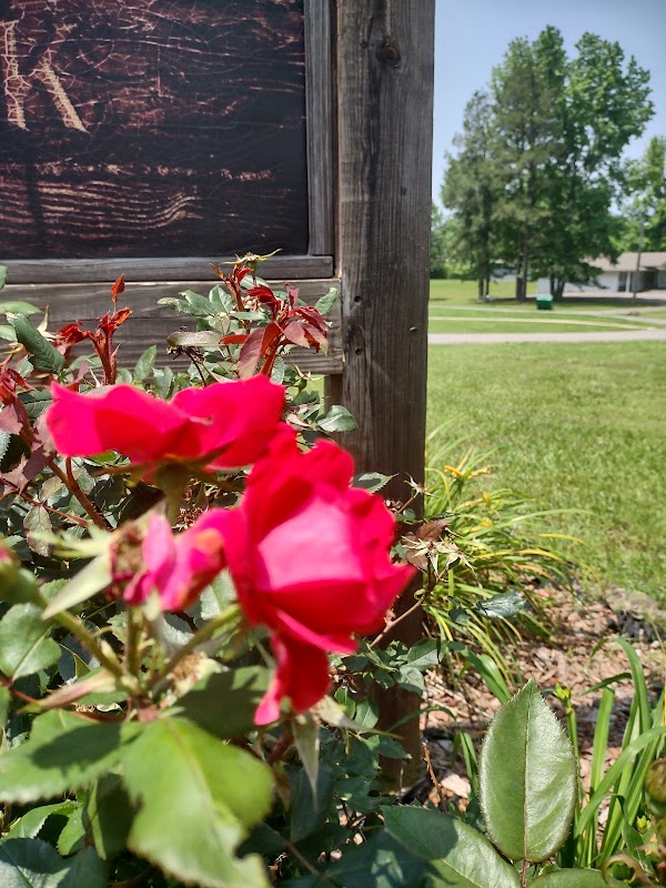 Cecil Riley Memorial Park grounds