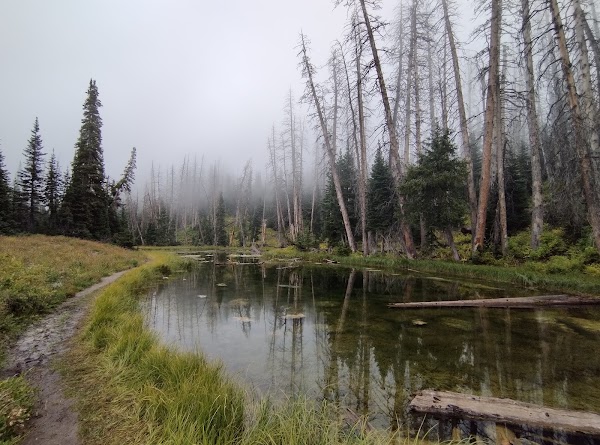 Cedar Breaks National Monument grounds