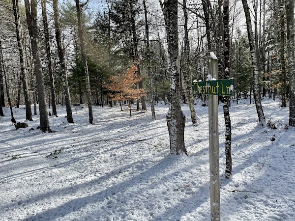 Cedar Brook Burial Ground grounds