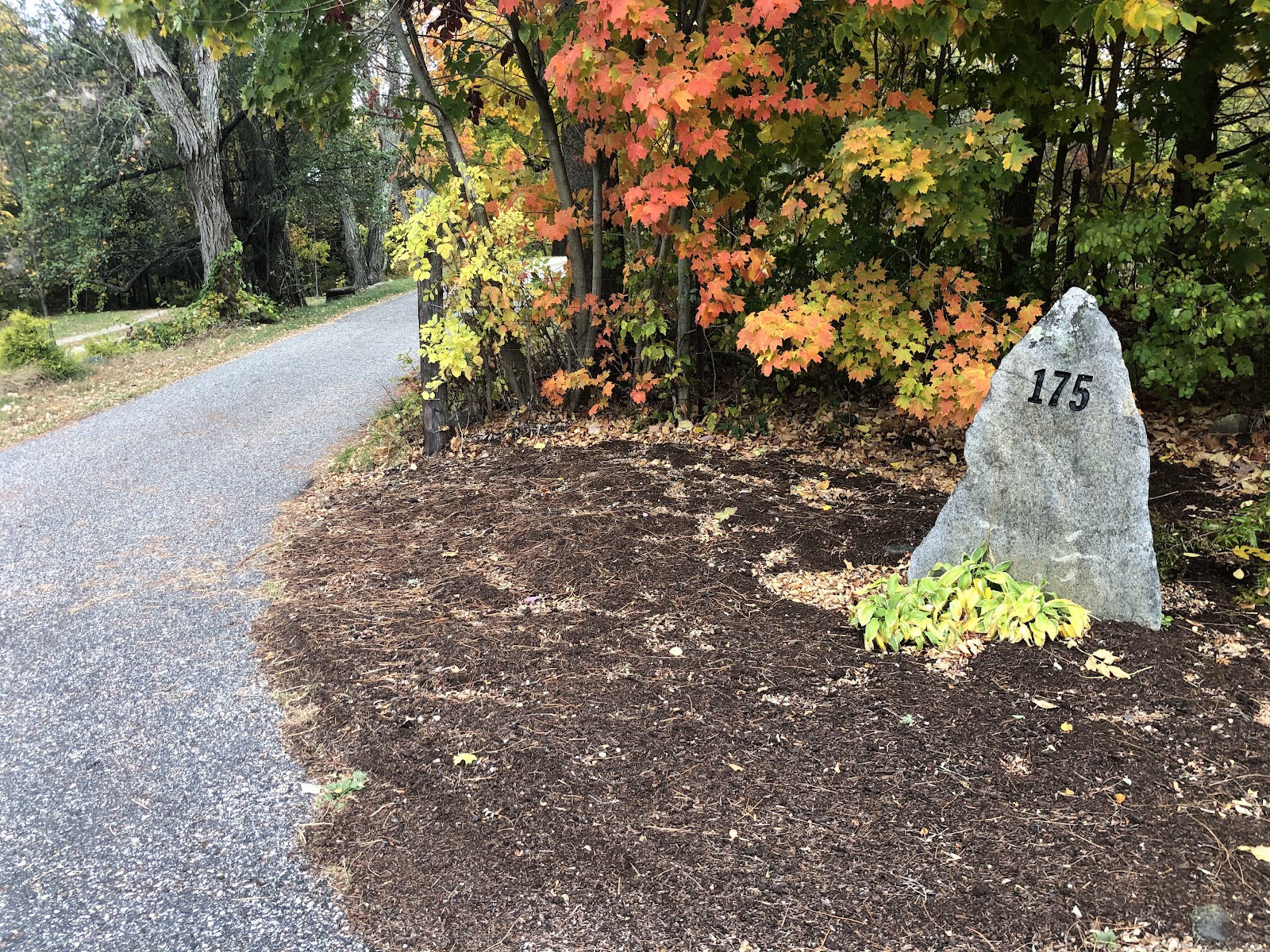 Cedar Brook Burial Ground cemetery grounds and headstones