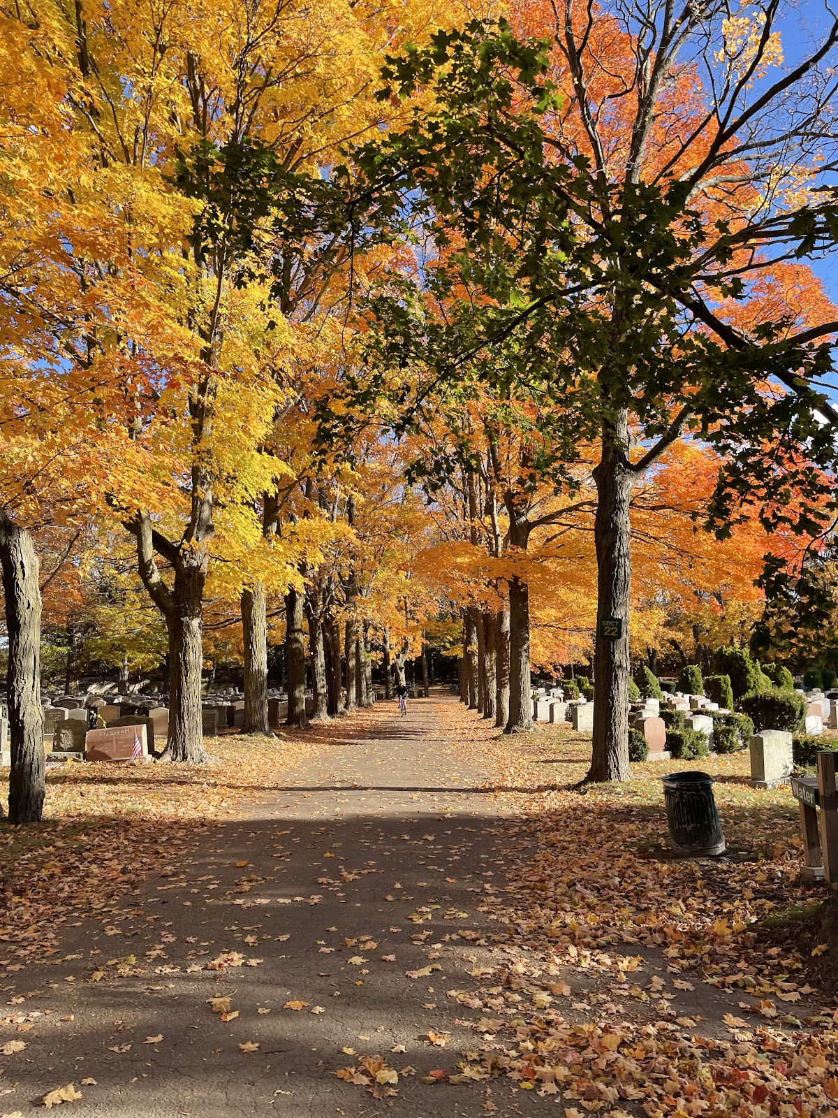 Cedar Grove Cemetery cemetery grounds and headstones