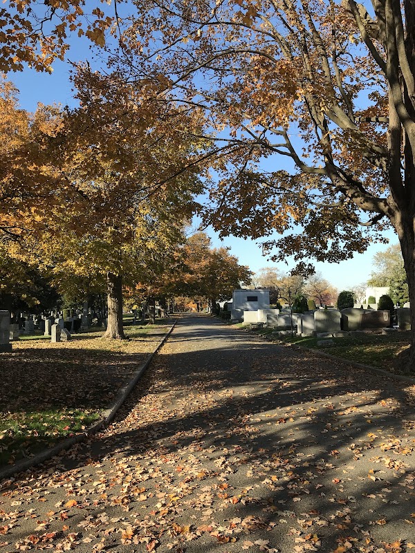 Cedar Grove Cemetery grounds