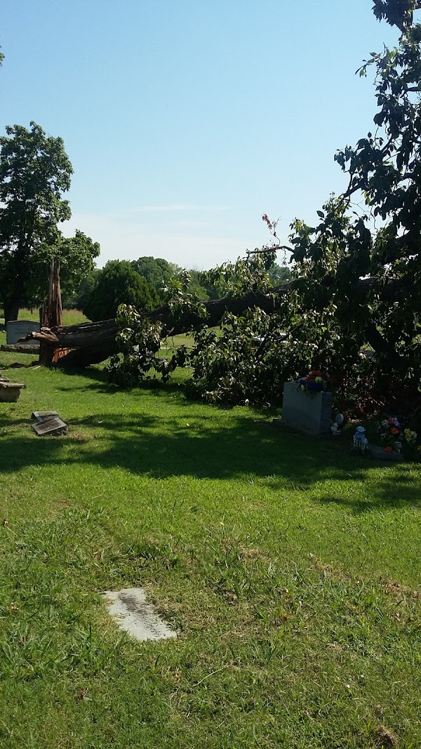 Cedar Grove Cemetery grounds
