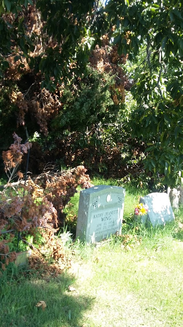 Cedar Grove Cemetery grounds