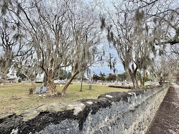 Cedar Grove Cemetery grounds