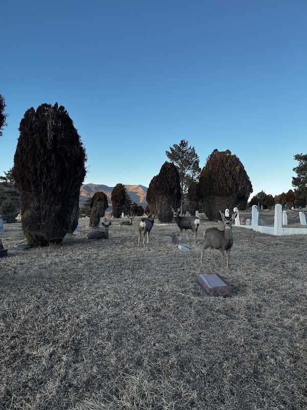 Cedar Hill Cemetery grounds