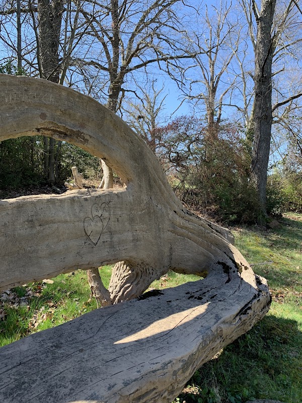 Cedar Hill Cemetery grounds