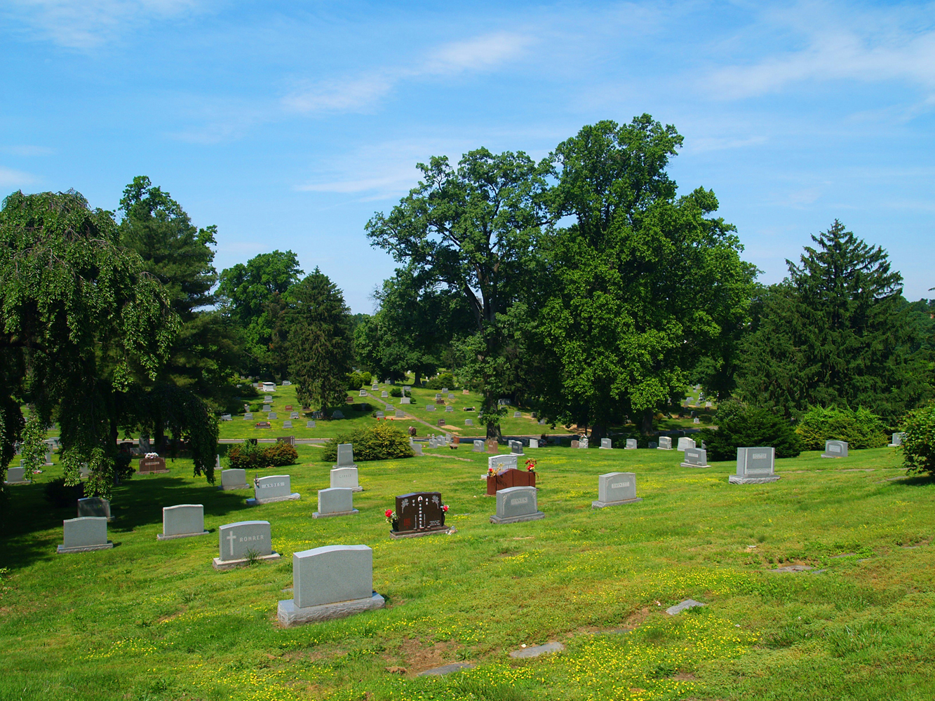 Cedar Hill Cemetery cemetery grounds and headstones