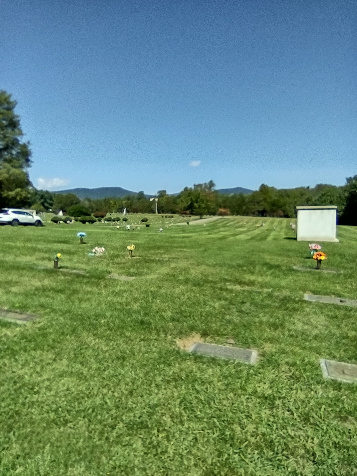 Cedar Lawn Memorial Park cemetery grounds and headstones