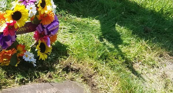 Cedar Park Cemetery grounds