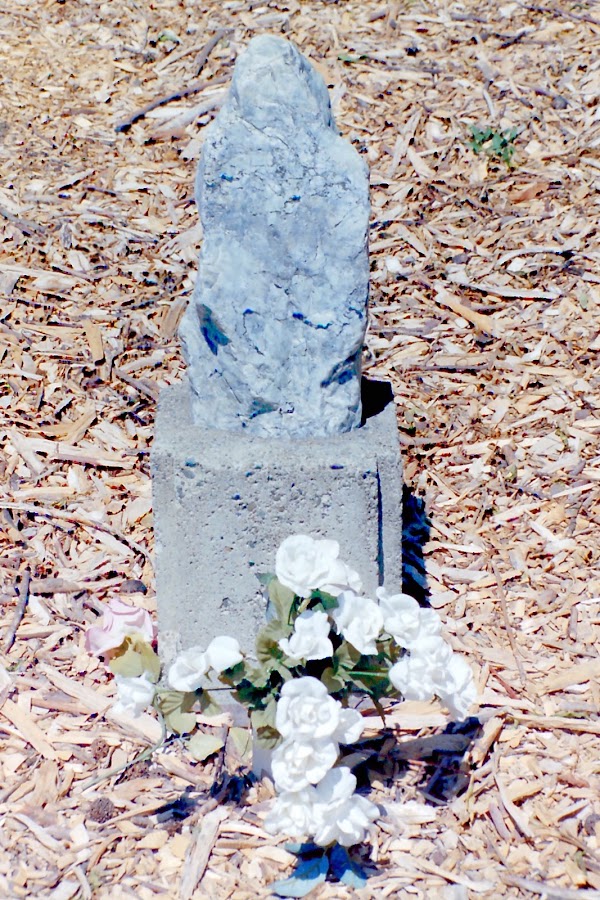 Centerville Pioneer Cemetery grounds