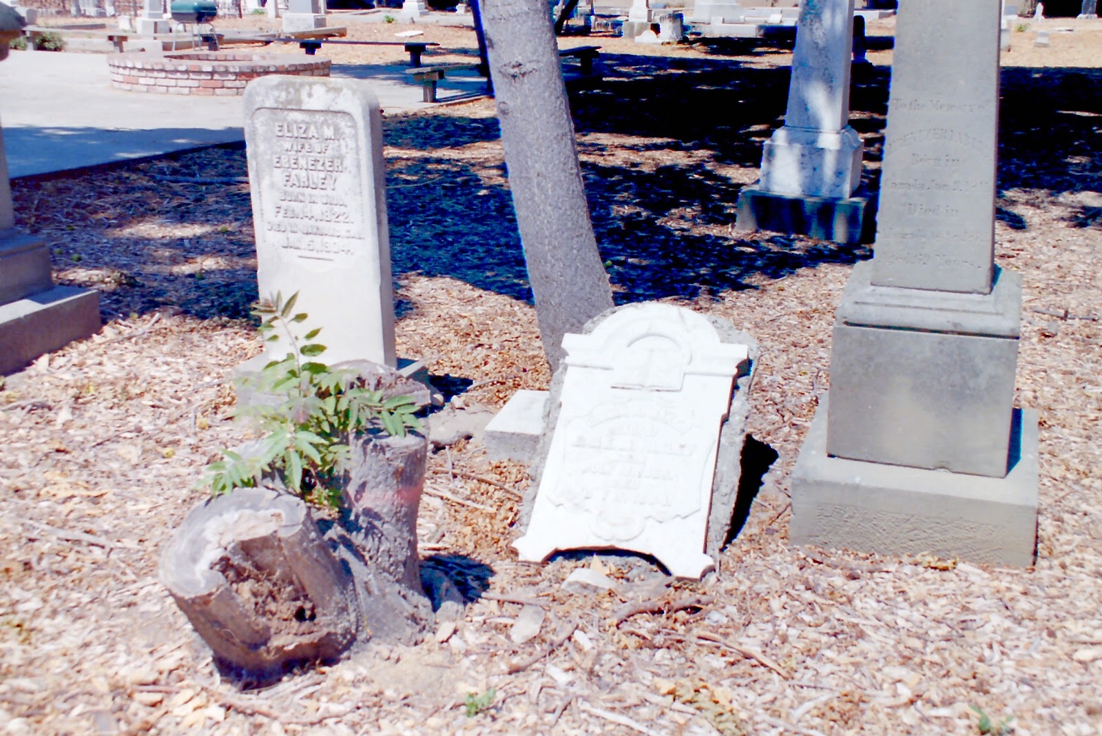 Centerville Pioneer Cemetery cemetery grounds and headstones