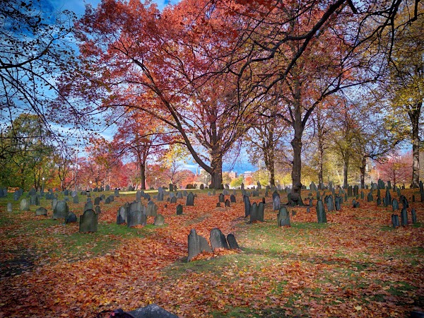 Central Burying Ground grounds