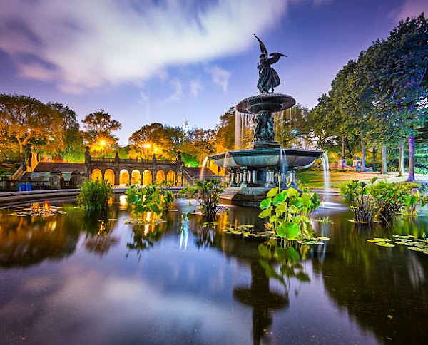 Central Park grounds