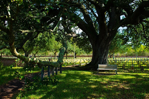 Chalmette National Cemetery grounds