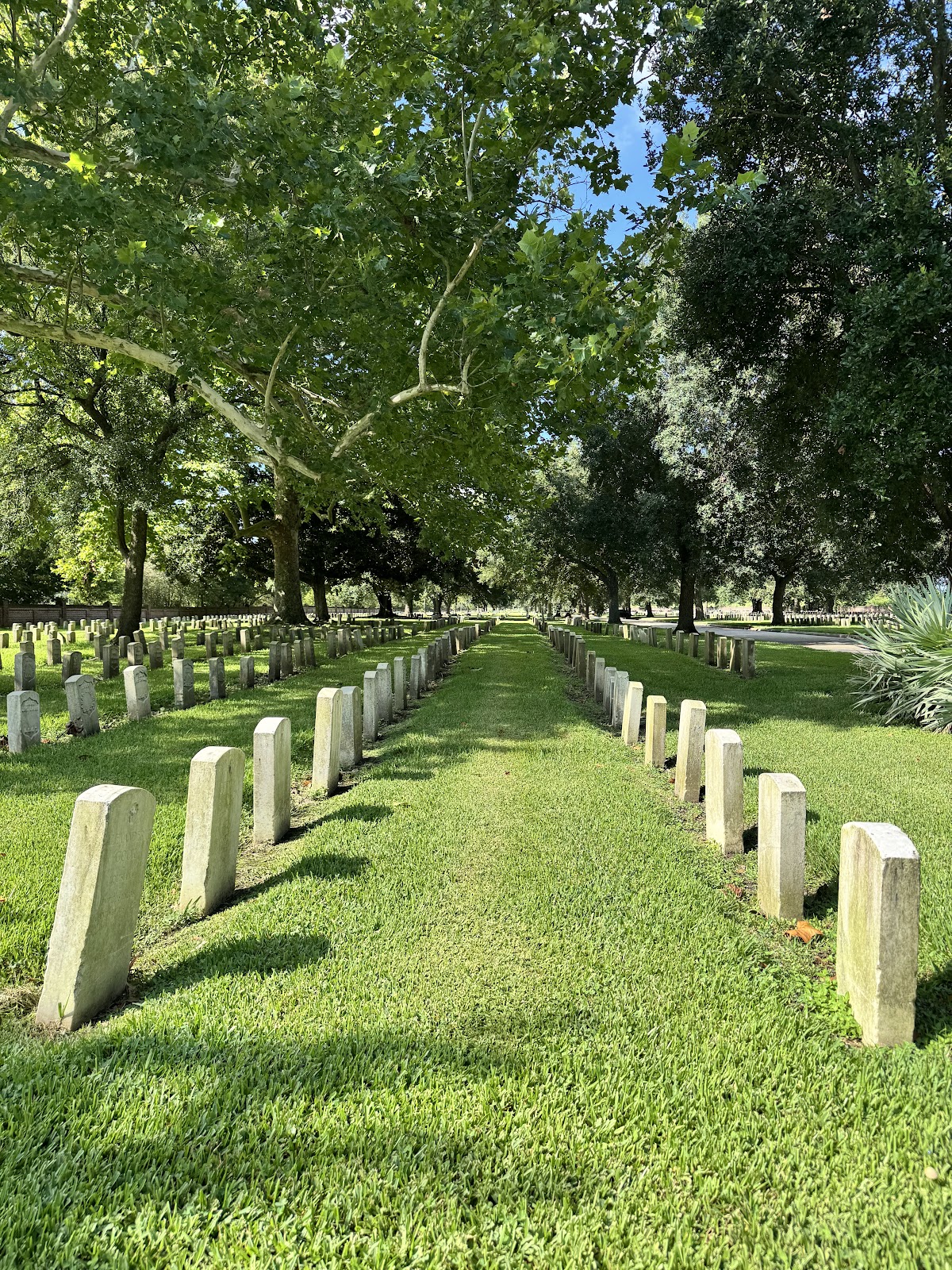Chalmette National Cemetery cemetery grounds and headstones