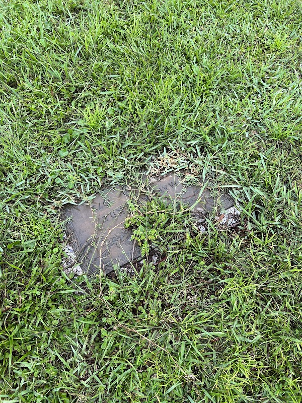 Chapel Hill Cemetery grounds