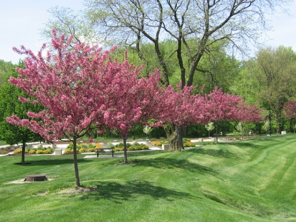 Charles Gabus Memorial Tree Park and Garden grounds