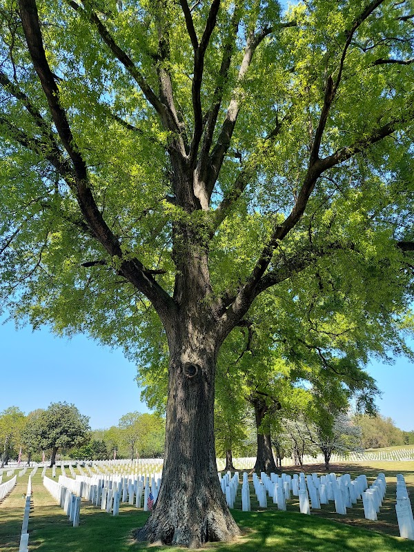 Chattanooga National Cemetery grounds