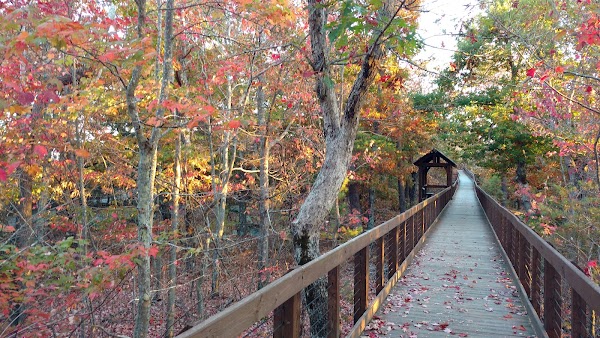 Cheaha State Park grounds