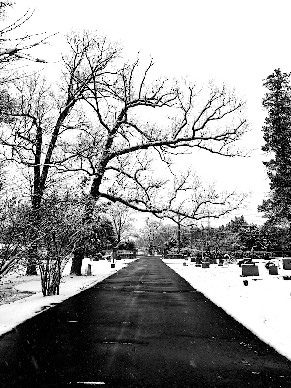 Chestnut Grove Cemetery grounds