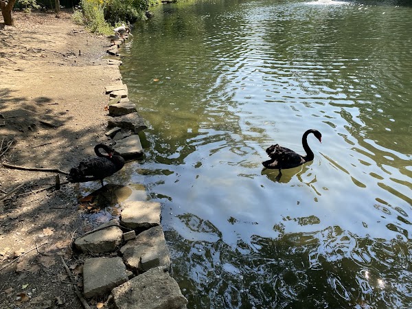 Chestnut Hill Memorial Park grounds