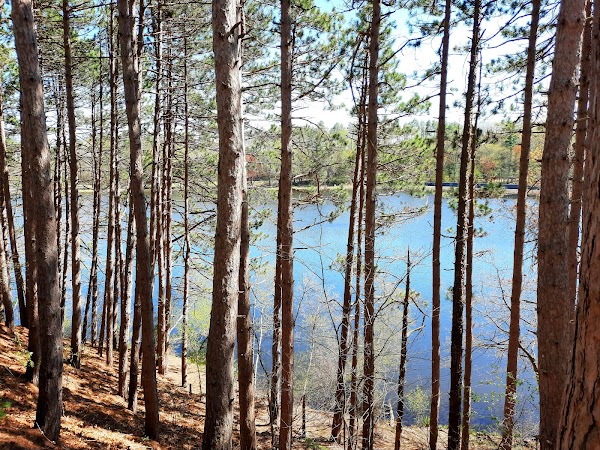 Chicopee Memorial State Park grounds