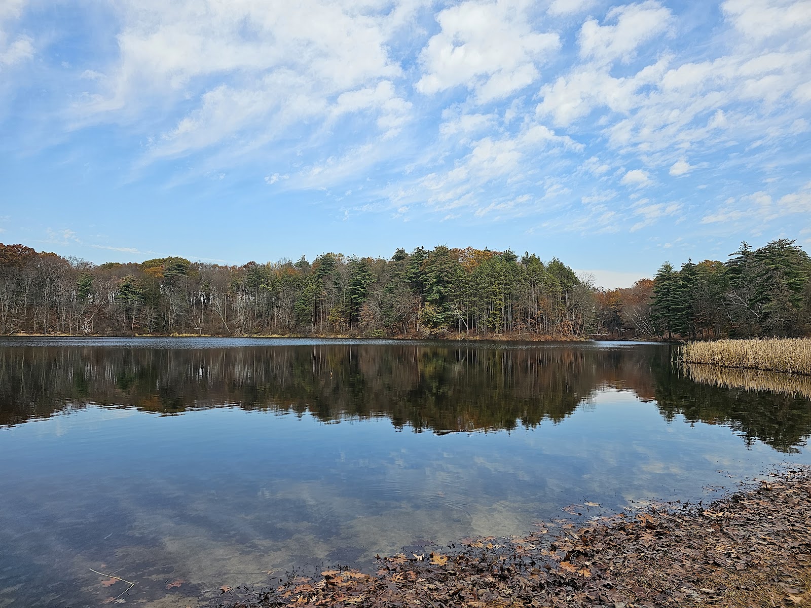 Chicopee Memorial State Park cemetery grounds and headstones