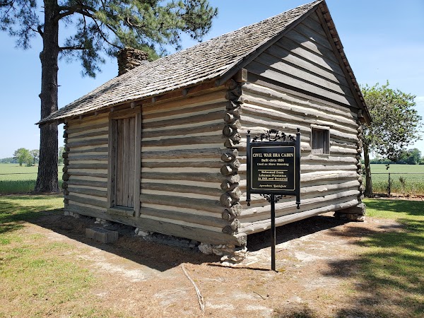 Chicora Cemetery grounds
