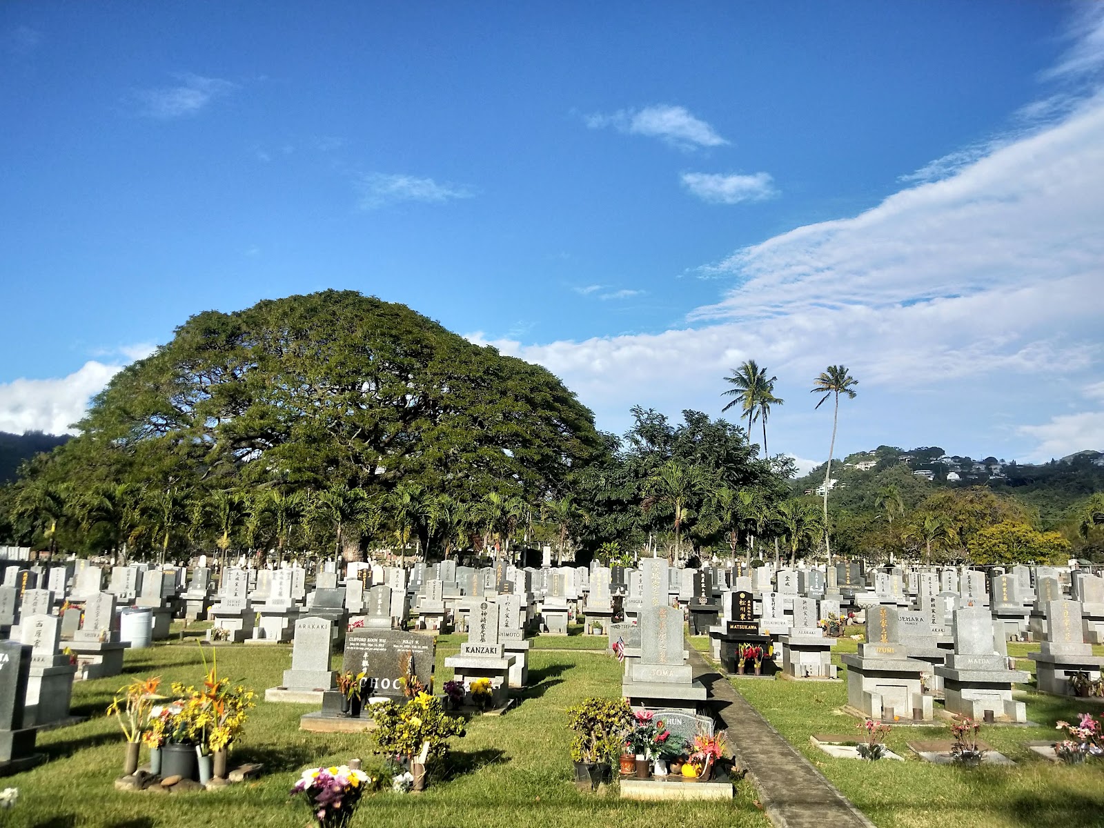 City Memorial Park cemetery grounds and headstones