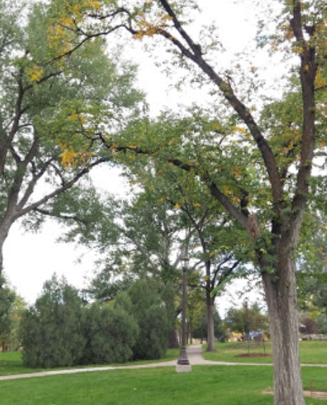 City Park grounds