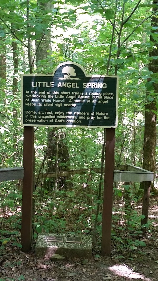 Clay Hill Memorial Forest grounds
