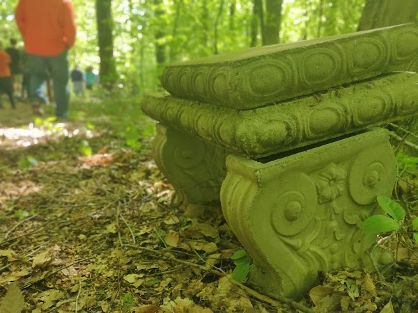 Clay Hill Memorial Forest grounds