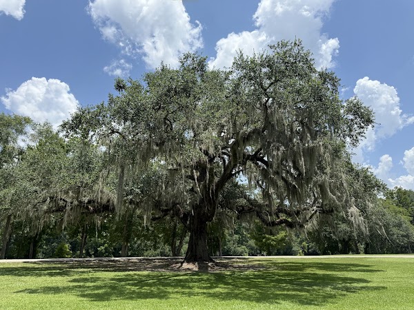 Clayton Boudreaux Memorial Park grounds