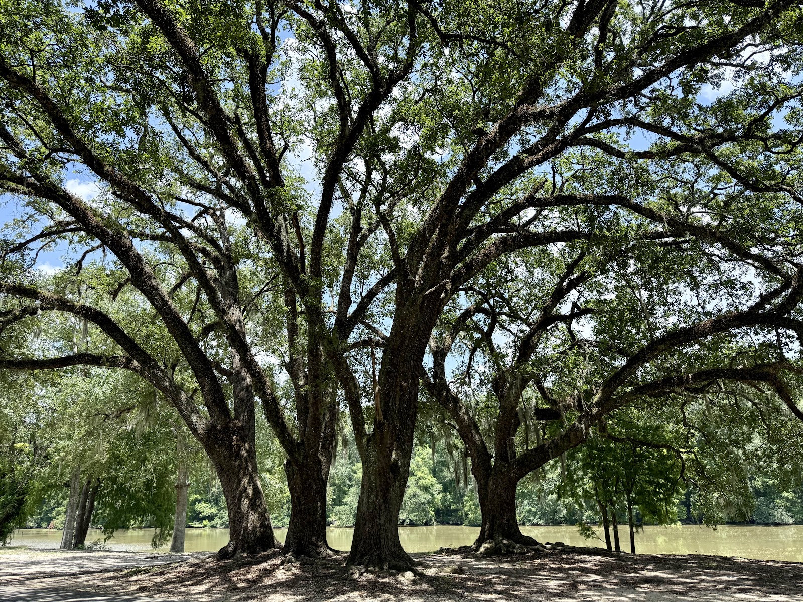 Clayton Boudreaux Memorial Park cemetery grounds and headstones