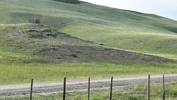Clement S. Bengough Gravestone grounds