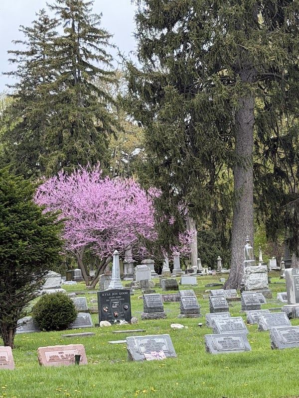 Clinton Grove Cemetery grounds