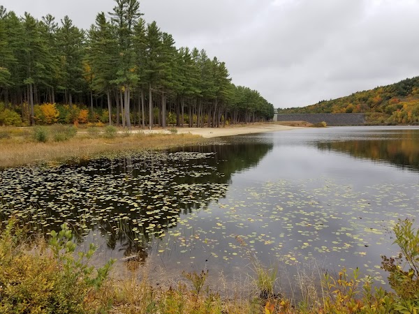 Clough State Park grounds