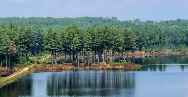 Clough State Park grounds