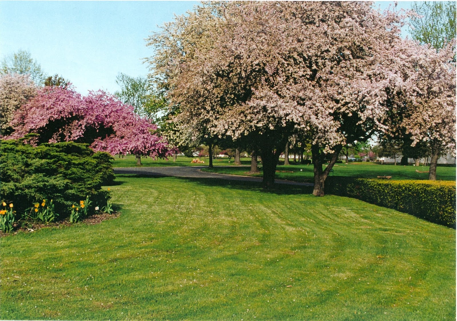 Clover Leaf Memorial Park cemetery grounds and headstones