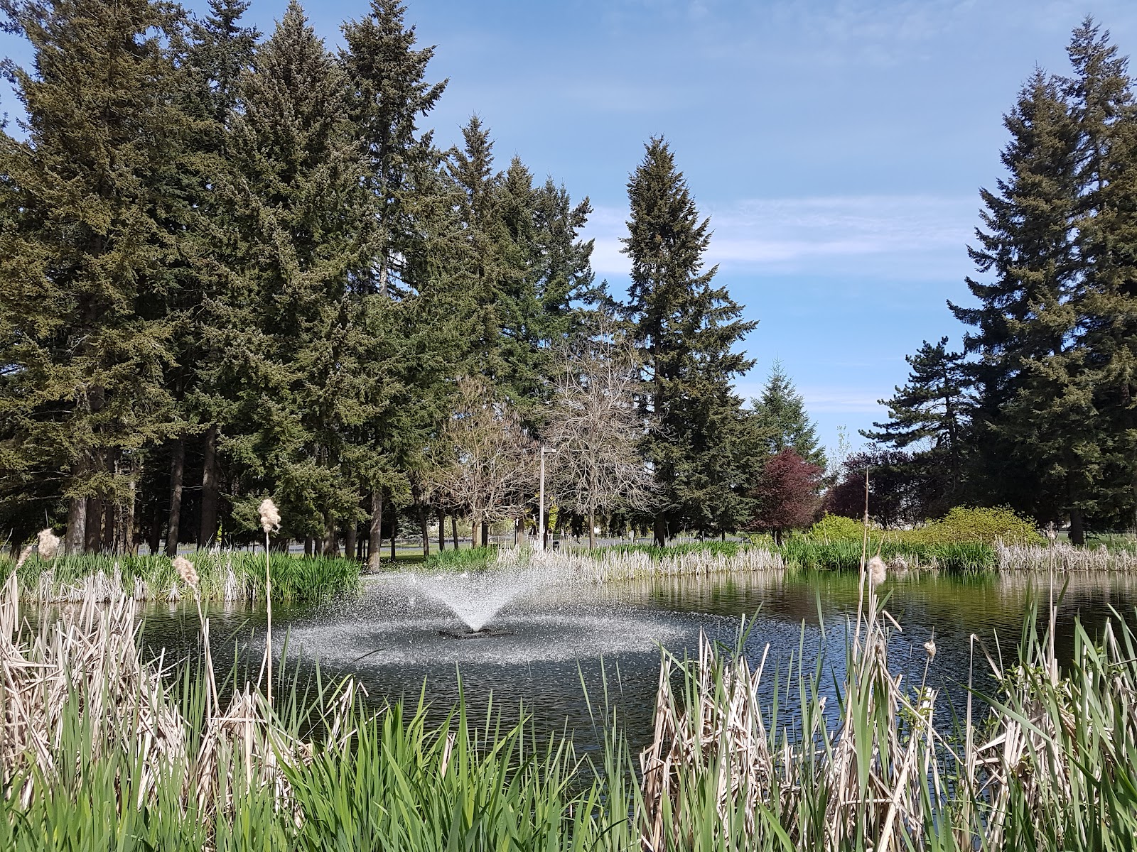 Cochrane Memorial Park cemetery grounds and headstones