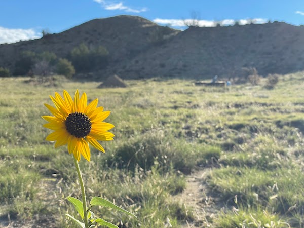 Colorado Burial Preserve & Cremation Garden grounds