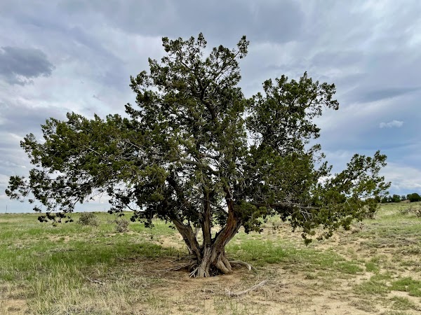 Colorado Burial Preserve & Cremation Garden grounds